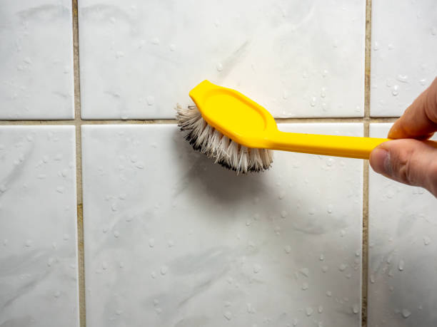 Best Mold Remediation for Specific Building Types in East St Louis, IL