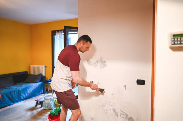 Best Residential Mold Remediation in East St Louis, IL